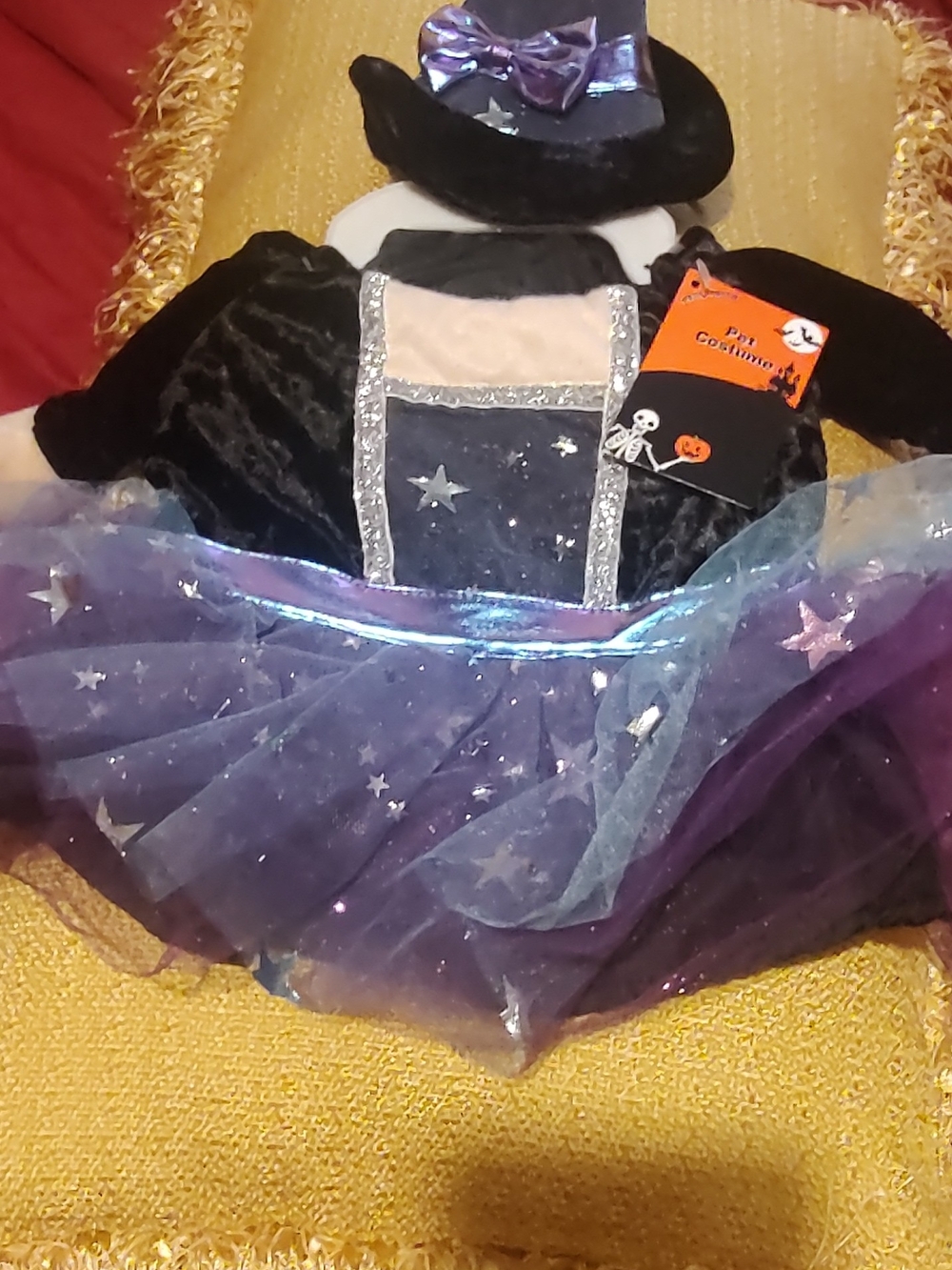 Pet Costume Medium New Witch With Hat